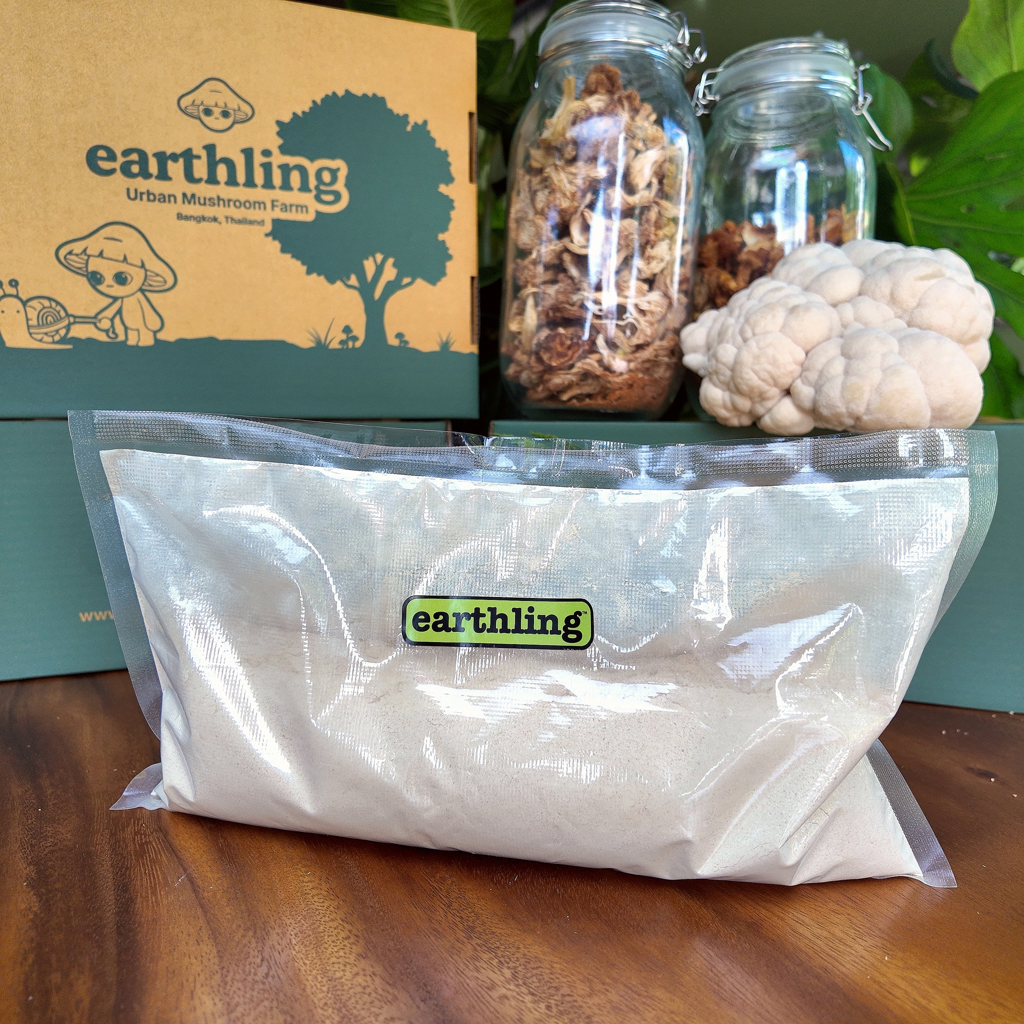 Wholesale Organic Lions Mane Powder