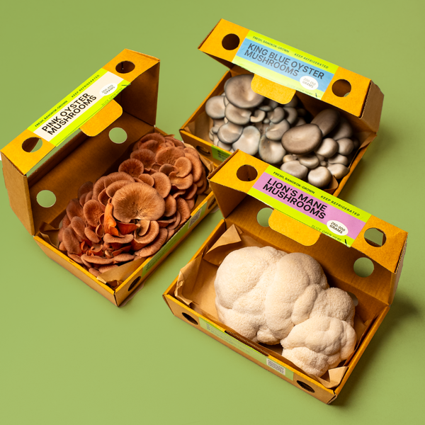 Fresh Mushrooms