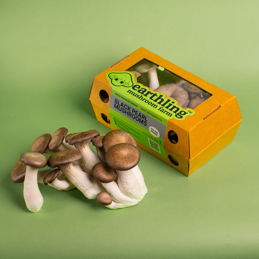 Fresh Black Pearl King Oyster Mushrooms