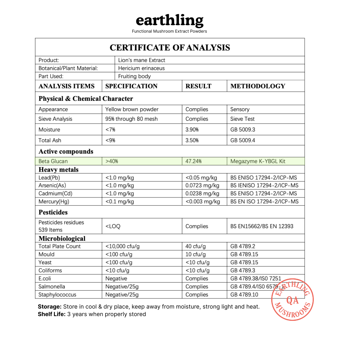 Lion's Mane 16:1 Triple Extract Capsules