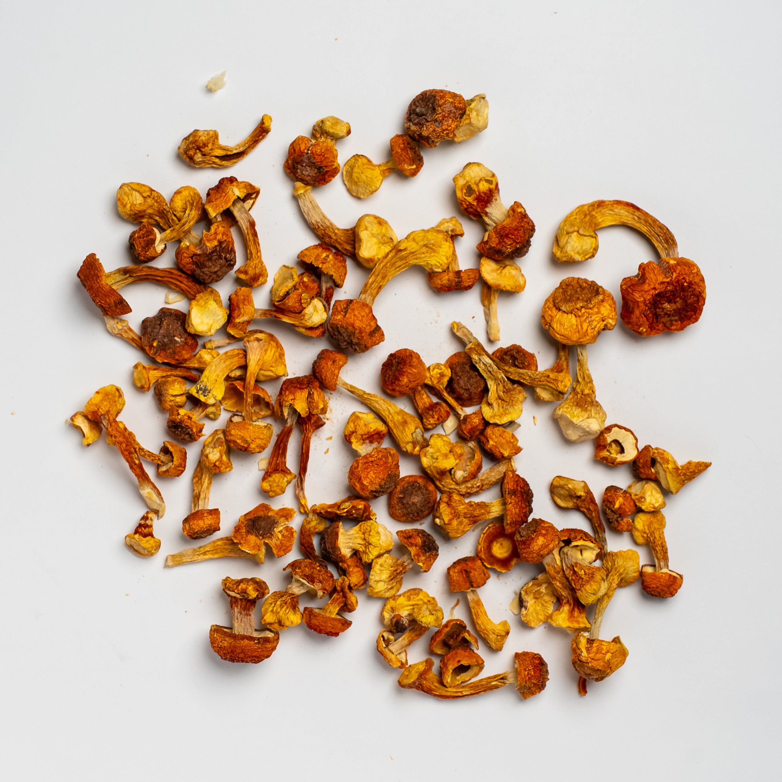 Premium Dried Agaricus Blazei Mushrooms – 1LB Bag, Organic Mushroom Supplement