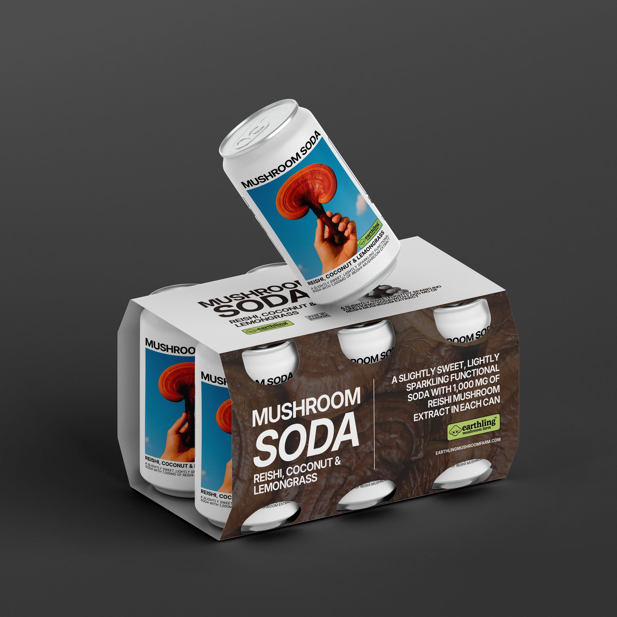 Reishi, Coconut & Lemongrass Soda (6 Pack)