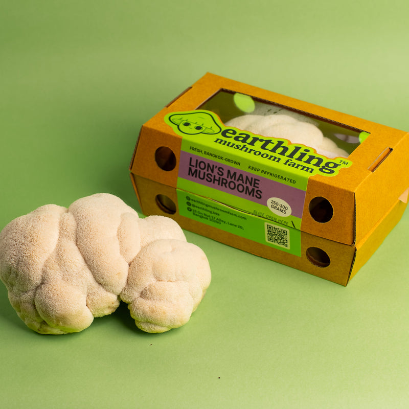 Fresh Lion's Mane Mushrooms