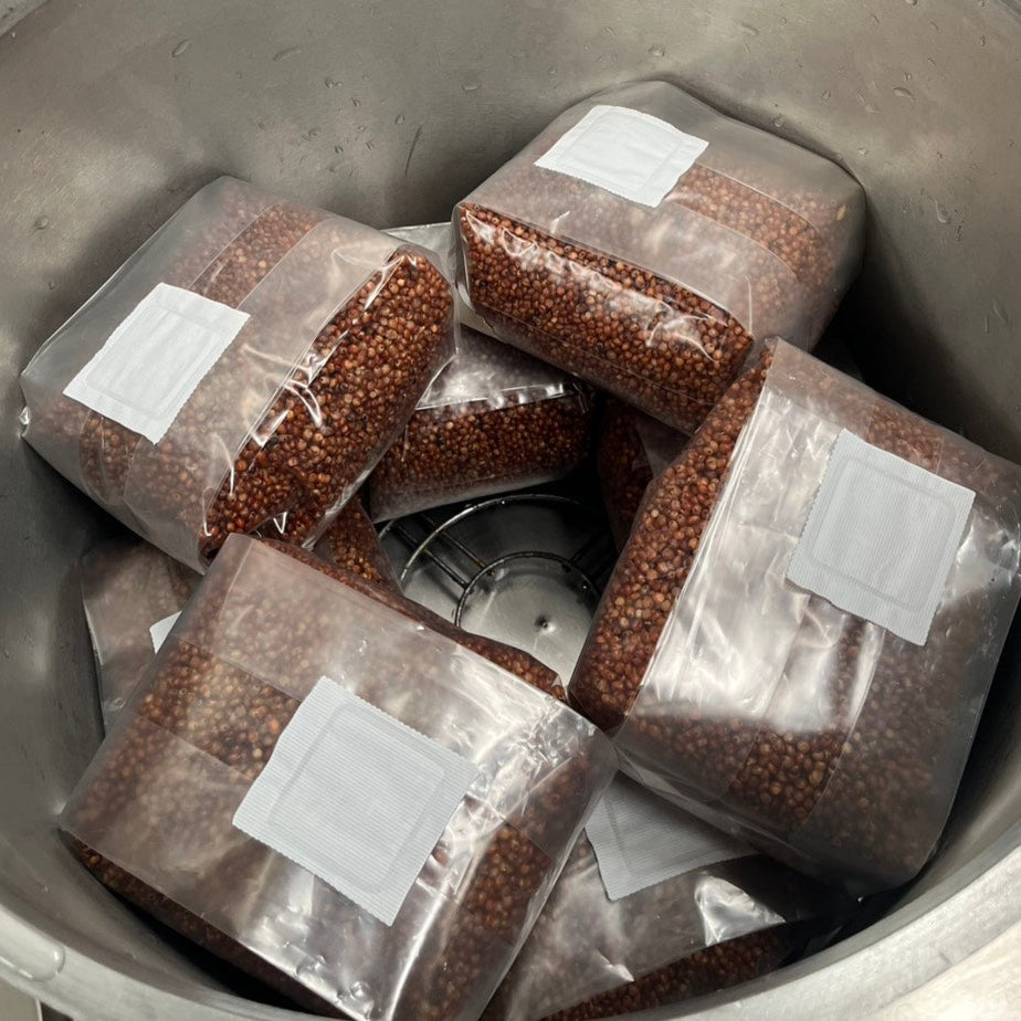 "Blank" Sterile Grains