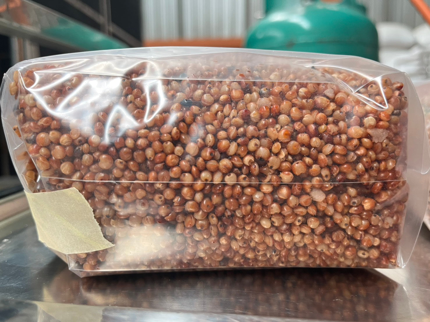 "Blank" Sterile Grains