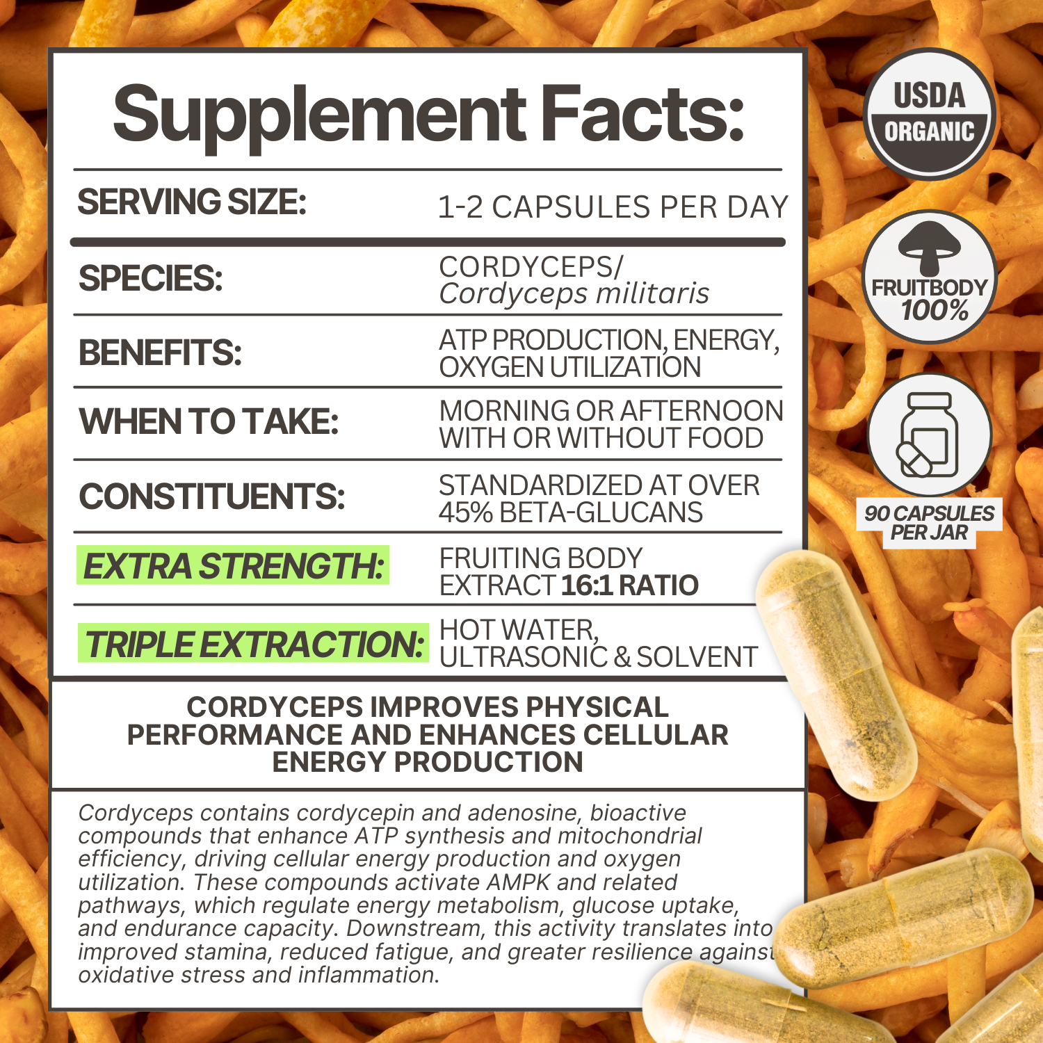 Cordyceps 16:1 Triple Extract Capsules