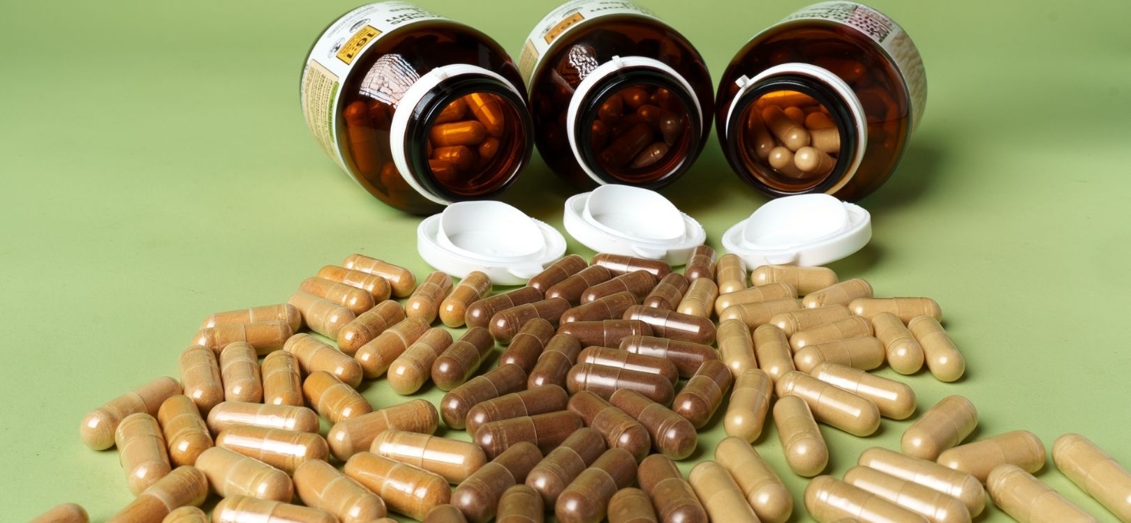 Functional and medicinal mushroom supplement capsules from Earthling Mushroom Farm in Bangkok