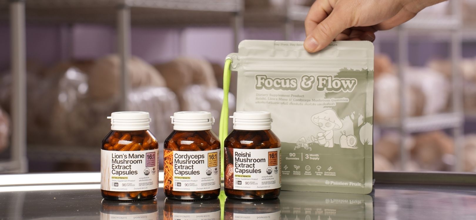 Mushroom extract supplements from Earthling Mushroom Farm in Bangkok including lion’s mane cordyceps and reishi