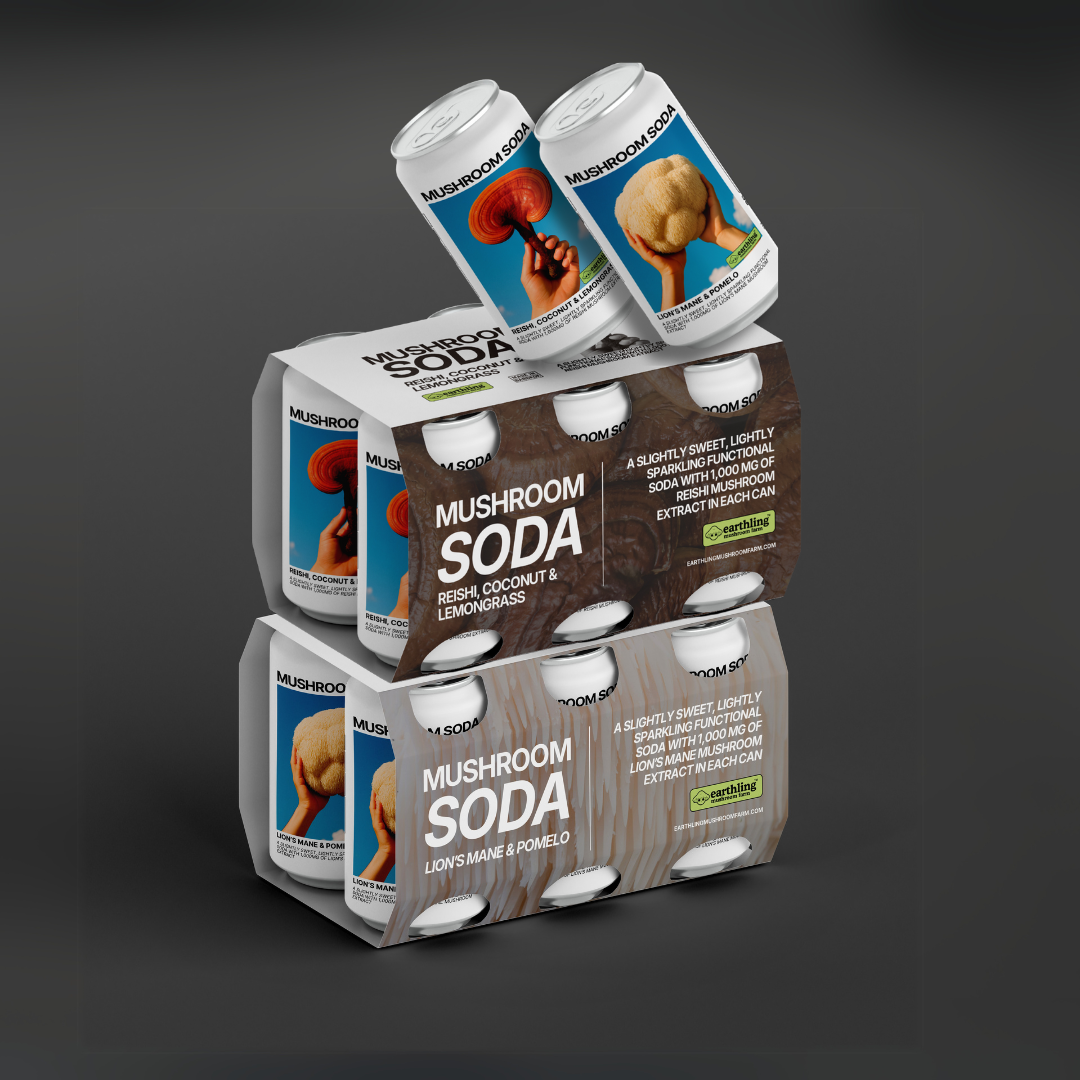 Mushroom Soda Bundle (12 pack)
